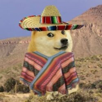 DONCHOLOGO图片