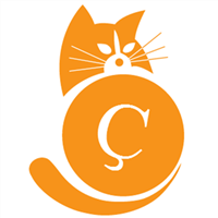 猫币最新价格_CAT币今日行情_猫币最新消息 - 币圈子