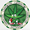 CCNLOGO