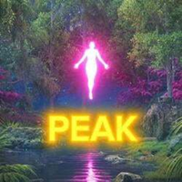 PEAKLOGO