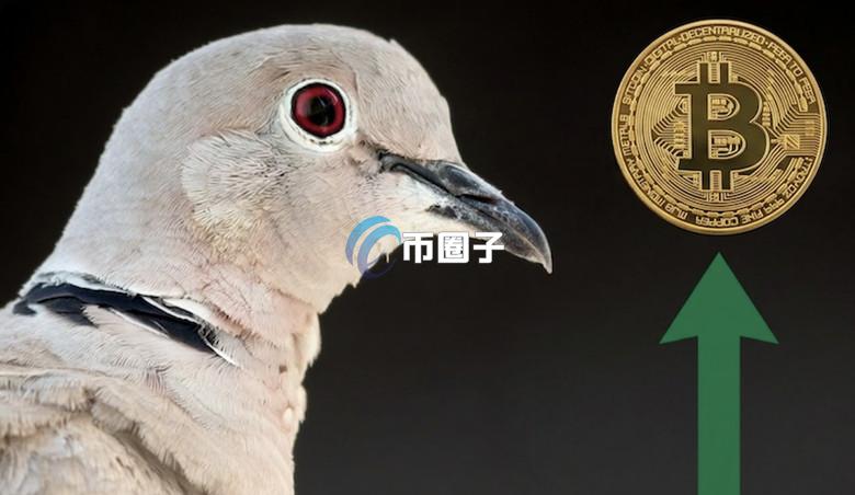 知名加密货币交易员Eugene：山寨币浮现圆弧底！比特币若能站稳关键压力位 看好ETH和SOL