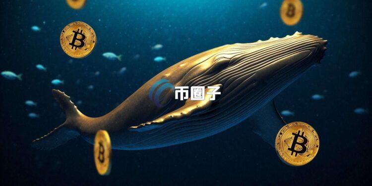 Lookonchain链上数据：远古比特币巨鲸又卖币！早前刚砸40亿美元买ETH