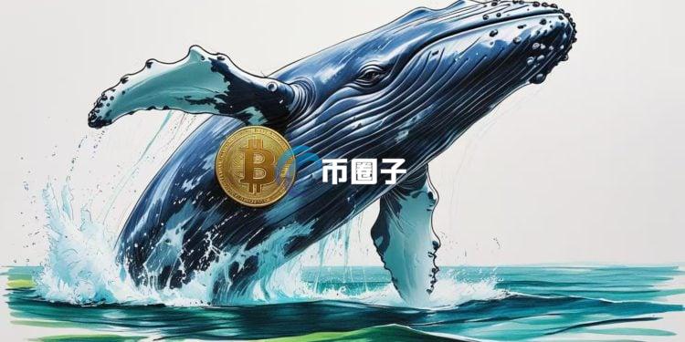 链上数据分析师Ai姨：100%胜率巨鲸遭遇滑铁卢！总资产浮亏800万美元