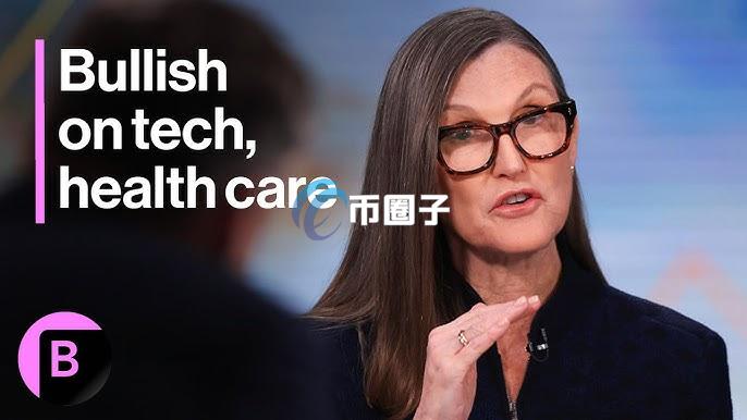 方舟投资Cathie Wood：看好Palantir、Coinbase、Roku等科技股