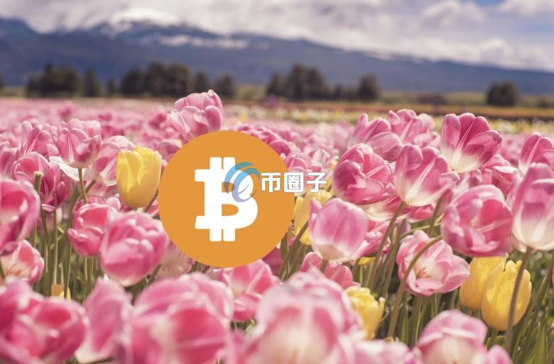 彭博分析师：比特币和郁金香狂热不同 BTC就像黄金或艺术品一样