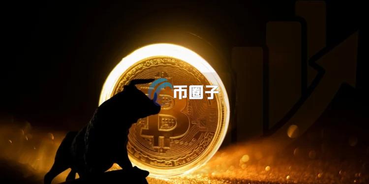 方舟资本分析师David Puell：比特币正迈入机构成熟期！2030年最高上看150万美元