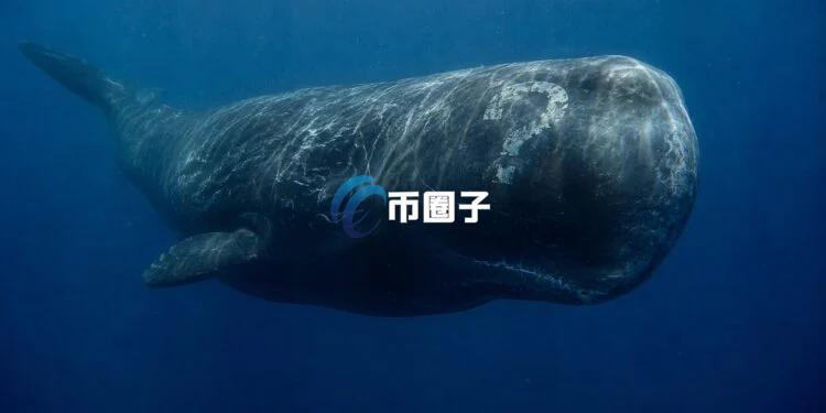 抄底巨鯨7Siblings再度出手：抄底11759枚以太坊！目前仍持有1000萬枚USDS