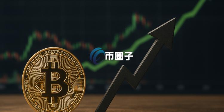 国际清算银行BIS：全球经济压力下比特币使用量逆势增长