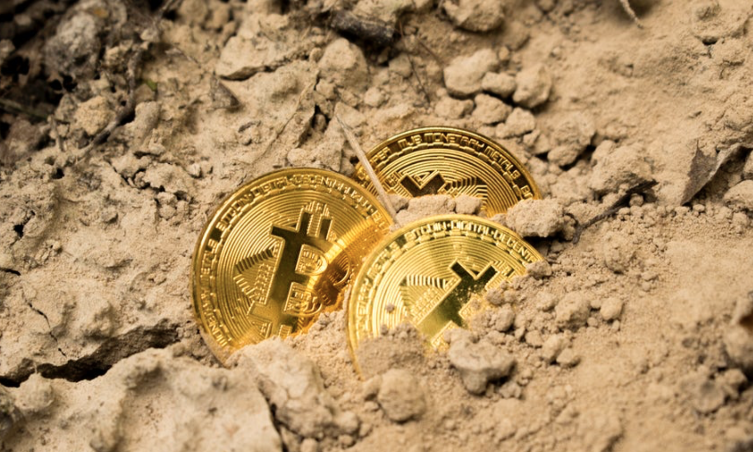 拥有至少1个比特币的人数有多少？深度分析认为大约40-80万人