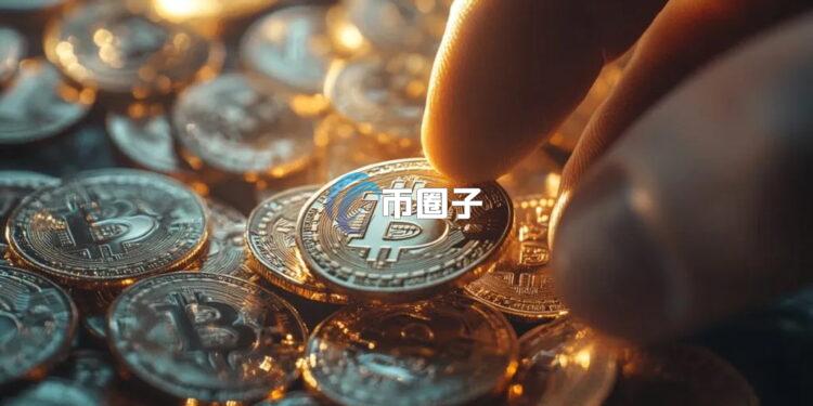 比特币储备大户Strategy再买币：以均价113048美元买进196枚BTC