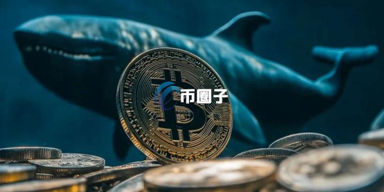 中本聪时代巨鲸突然活跃：转移了150枚BTC！会影响比特币价格吗？