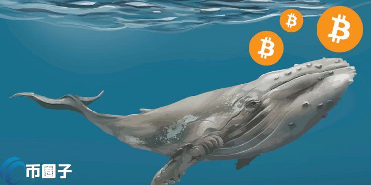 大鲸鱼:4亿美元比特币从不明钱包转入Coinbase 手续费仅3.6美元 大鲸鱼:4亿美元比特币从不明钱包转入Coinbase 手续费仅3.6美元