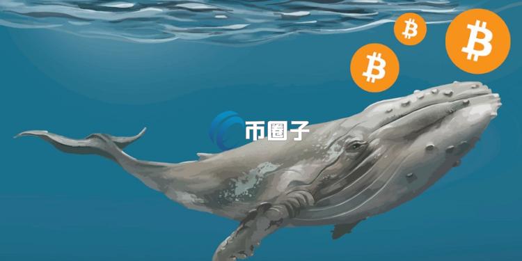 链上数据分析师Ai姨：比特币巨鲸换仓做多以太坊三天狂赚3936万美元