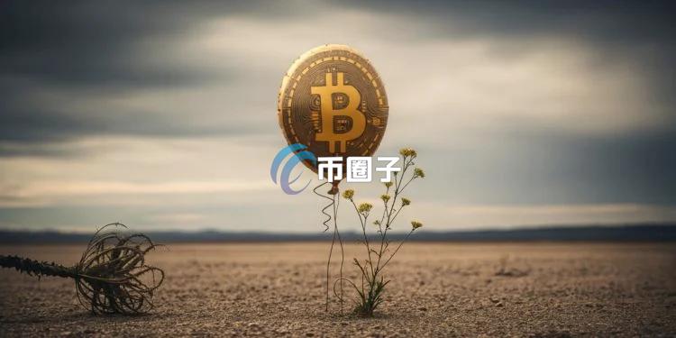 散户不买比特币了？链上小额比特币交易占比创2年半最低 引发社群讨论