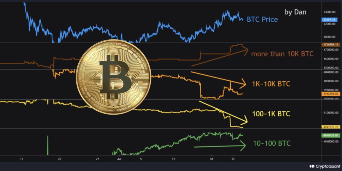 持万枚比特币巨鲸扫货-本次反弹由做市商推动-CryptoQuant