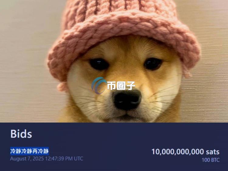 MEME币Dogwifhat(WIF)原型针织帽拍卖中 KOL出价100枚比特币