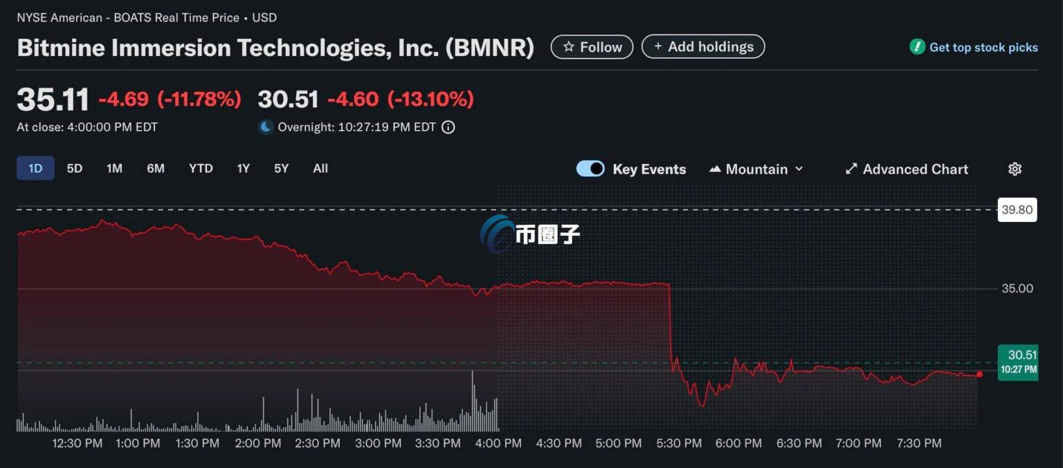 BitMine过去24小时走势