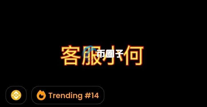 BNB链Meme币客服小何上线币安Alpha！某交易员获利38万美元遭质疑内幕交易