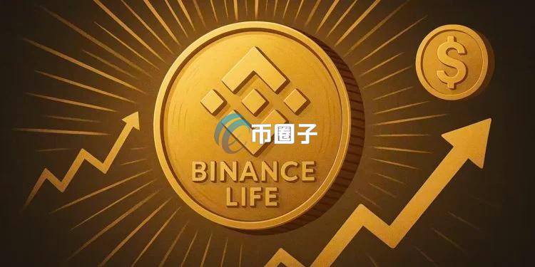 比特幣、以太坊齊跌！但BNB Chain上的中文Meme幣安人生逆市暴漲 疑似莊家持續加碼